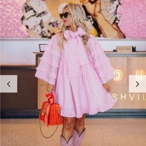 Elizabeth Wilson Designs Josephine Dress Cotton Candy Pink Size small NWT